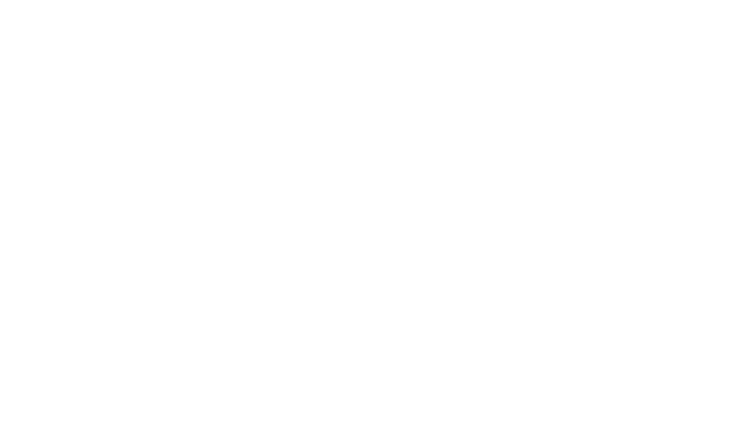 Vectorflow Capital